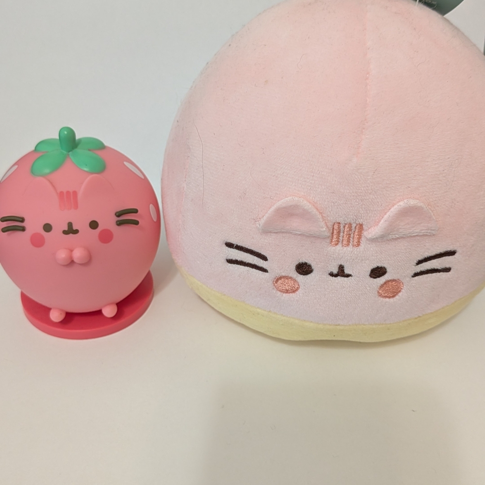 Cute Pink Cat Plush & Strawberry Squishy Set